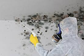 Best Mold Prevention Services  in West Hempstead, NY